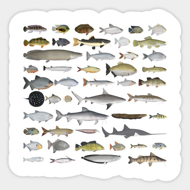 Amazon River Basin Fish Group Sticker by FishFolkArt